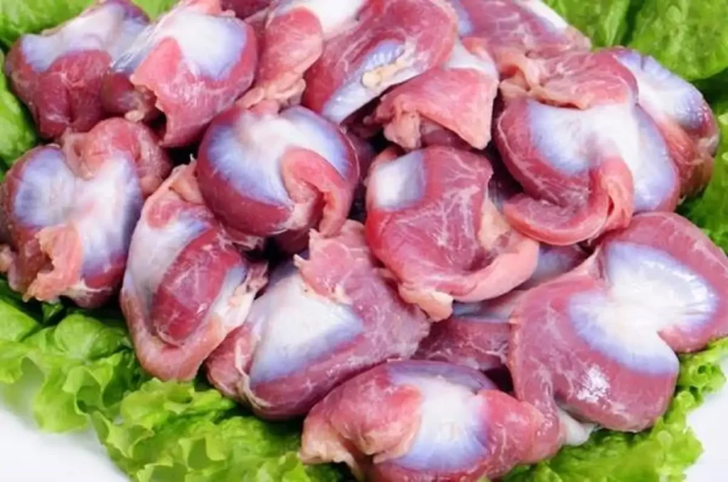 خرید سنگدان مرغ