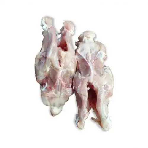 خرید اسکلت مرغ