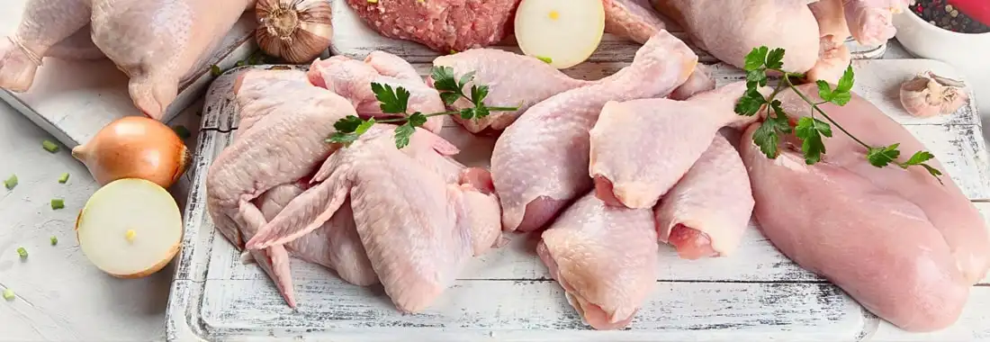 خرید عمده مرغ