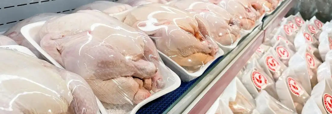 خرید عمده مرغ