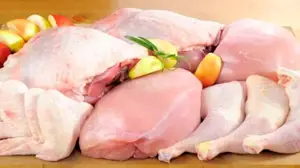 عوامل موثر بر قیمت مرغ در سال 1404