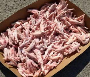 خرید مستقیم پای مرغ فله از تولیدکننده