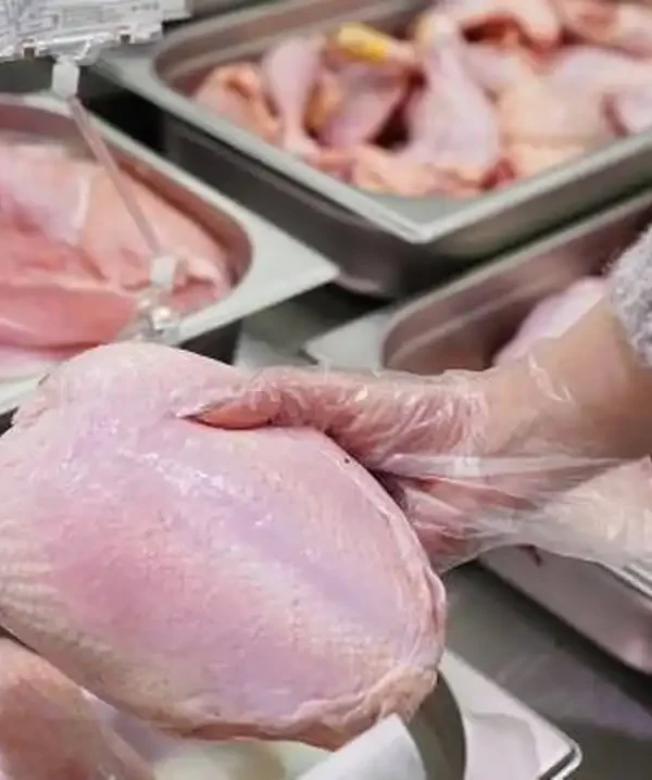 بررسی قیمت روز مرغ و عوامل مؤثر بر آن