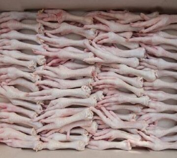 تامین پای مرغ فله با کیفیت بالا