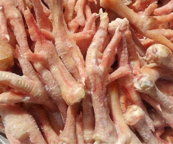 پای مرغ فله مناسب بازار داخلی و خارجی