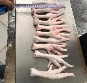 خرید مستقیم پای مرغ فله از تولیدکننده