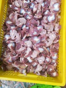 فروش سنگدان مرغ فله ای و کارتنی ویژه عمده فروشان
