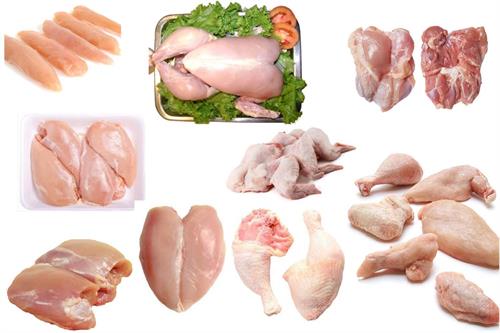 لیست قیمت قطعات مرغ مناسب صادرات