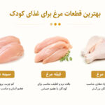 بهترین قطعات مرغ برای غذای کودک