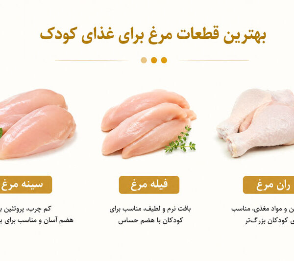 بهترین قطعات مرغ برای غذای کودک