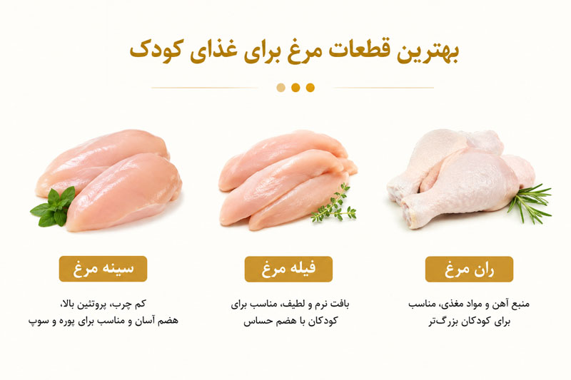 بهترین قطعات مرغ برای غذای کودک