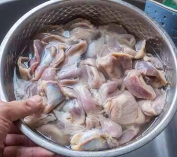 طرز تمیز کردن سنگدان مرغ