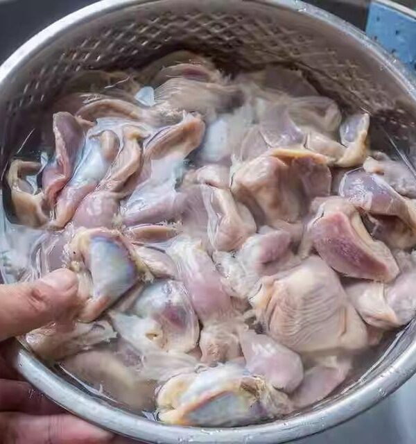 طرز تمیز کردن سنگدان مرغ