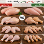 تفاوت مرغ صنعتی و محلی در قطعات مختلف