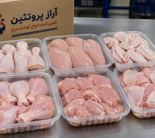 راهنمای خرید عمده قطعات مرغ برای رستوران‌ ها و فست‌ فود