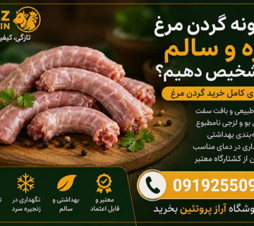 چگونه گردن مرغ تازه و سالم را تشخیص دهیم؟ (راهنمای خرید)