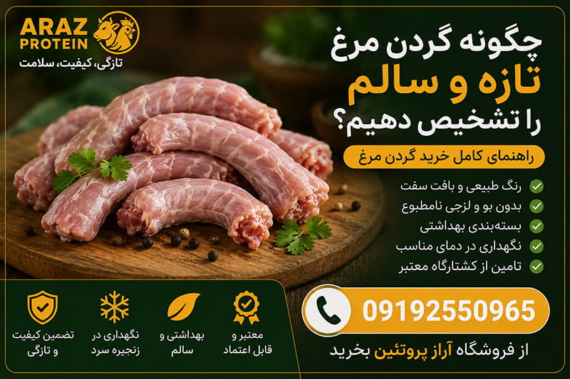 چگونه گردن مرغ تازه و سالم را تشخیص دهیم؟ (راهنمای خرید)