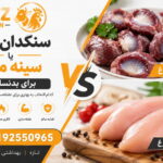 سنگدان مرغ بهتر است یا سینه مرغ برای بدنسازی؟