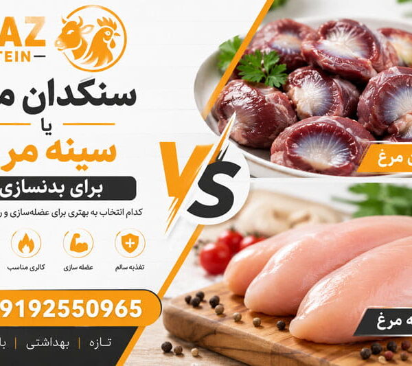 سنگدان مرغ بهتر است یا سینه مرغ برای بدنسازی؟