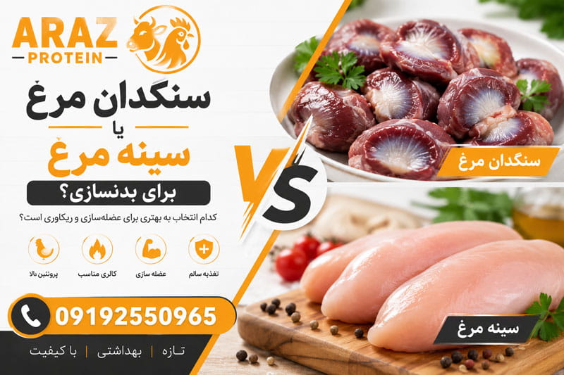 سنگدان مرغ بهتر است یا سینه مرغ برای بدنسازی؟