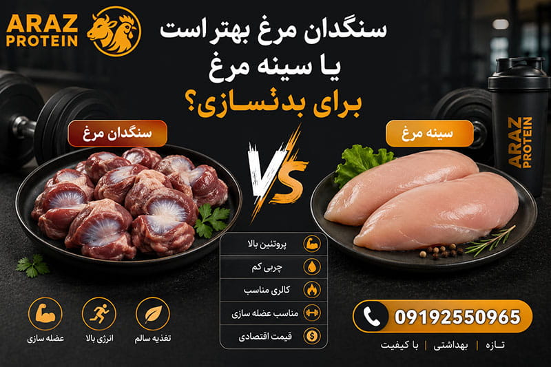 سنگدان مرغ بهتر است یا سینه مرغ برای بدنسازی؟