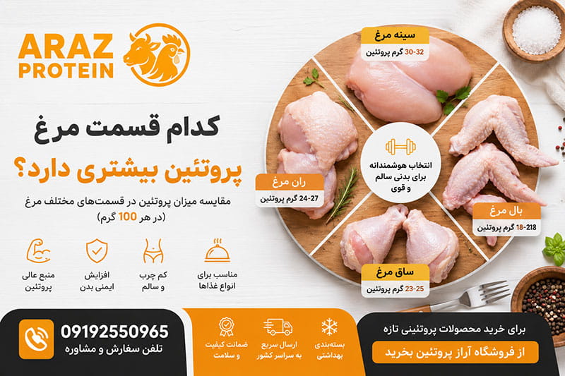 کدام قسمت مرغ پروتئین بیشتری دارد؟