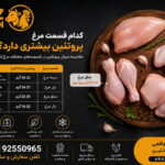 کدام قسمت مرغ پروتئین بیشتری دارد؟