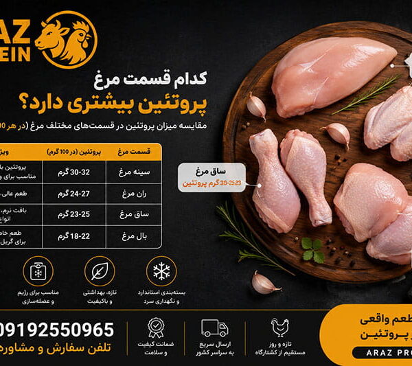 کدام قسمت مرغ پروتئین بیشتری دارد؟