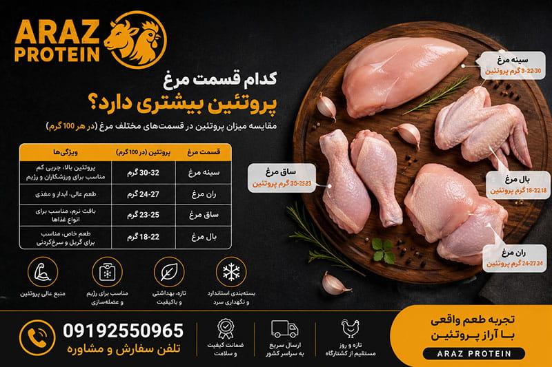 کدام قسمت مرغ پروتئین بیشتری دارد؟