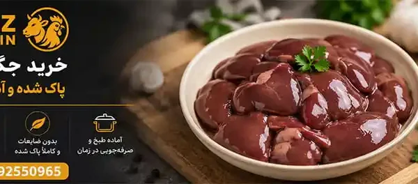 خرید جگر مرغ پاک شده و آماده طبخ؛ راهنمای انتخاب، نگهداری و قیمت